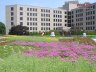 American University, Washington, DC