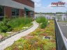 Wetland Studies & Solutions, Inc.; Gainsville, VA